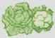 Green Vegetables