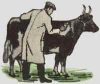 Clean the coats of the animals